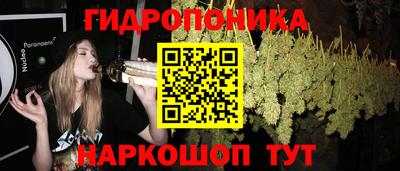 кокс Малгобек