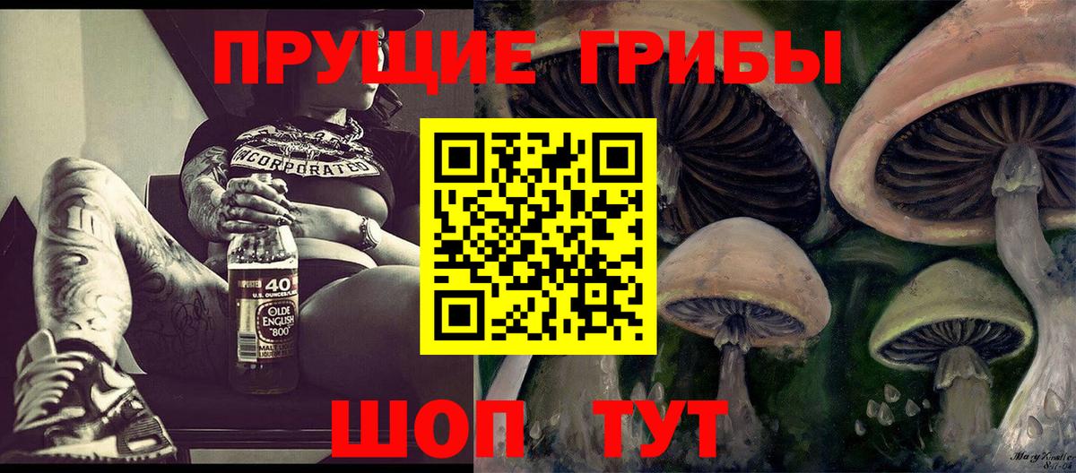 Черкесск  Псилоцибиновые грибы ЛСД  Вход с VPN  Галлюциногенные грибы Magic Shrooms 